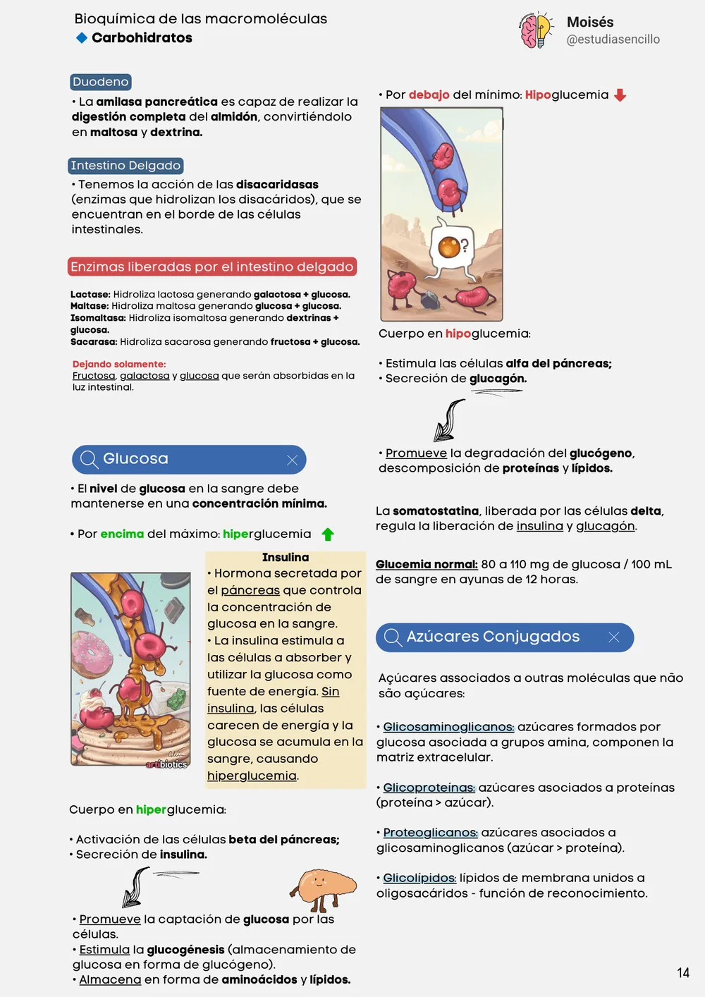 Muestra 1: página interna del Bioquímica Ilustrada