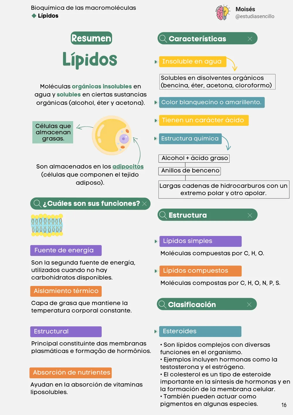 Muestra 12: página con resumen final del material