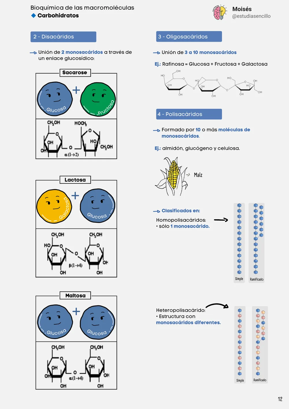 Muestra 2: página con ilustración de moléculas