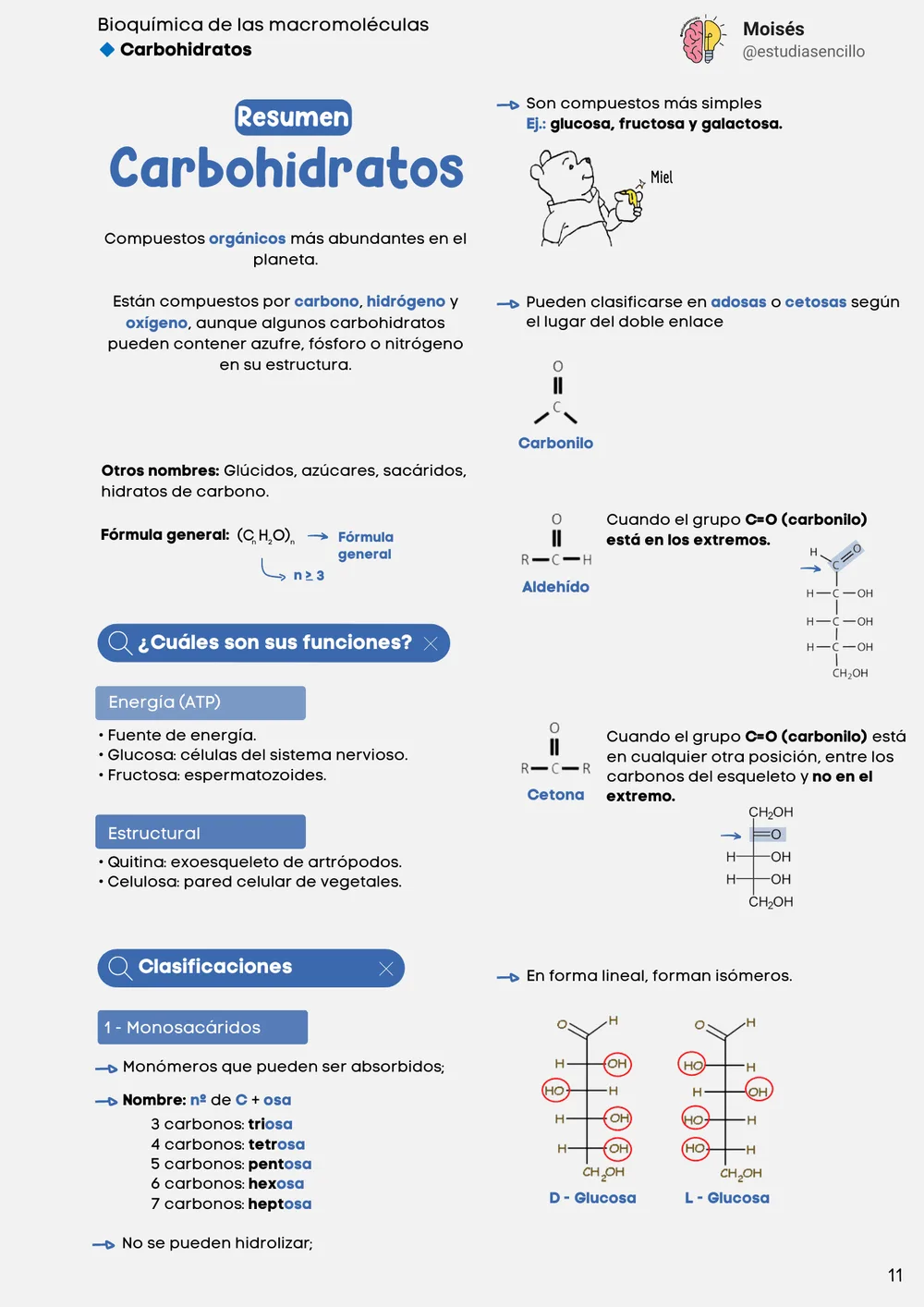 Muestra 3: página con esquema de vías metabólicas