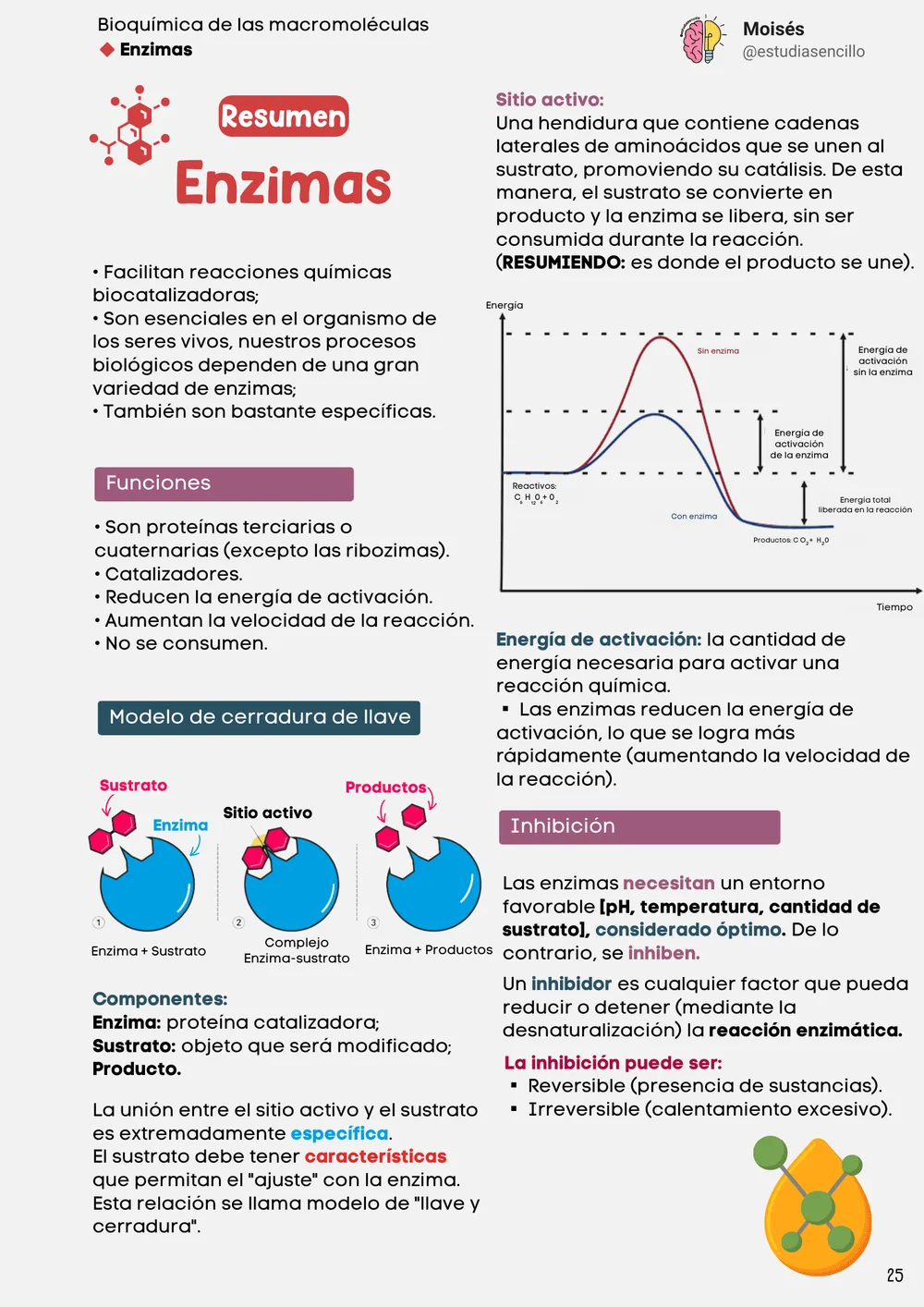 Muestra 8: página con esquema de proteínas