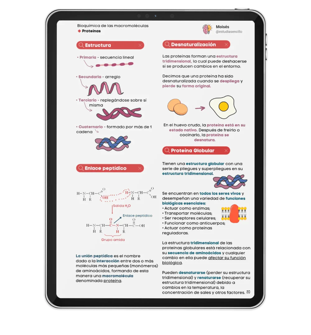 Bioquímica Ilustrada con mapas mentales e ilustraciones, el método nuevo