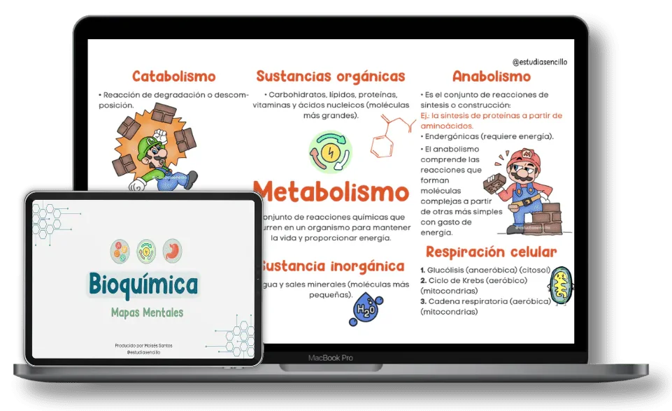 Mockup de los ResuMapas de Bioquímica - mapas mentales coloridos