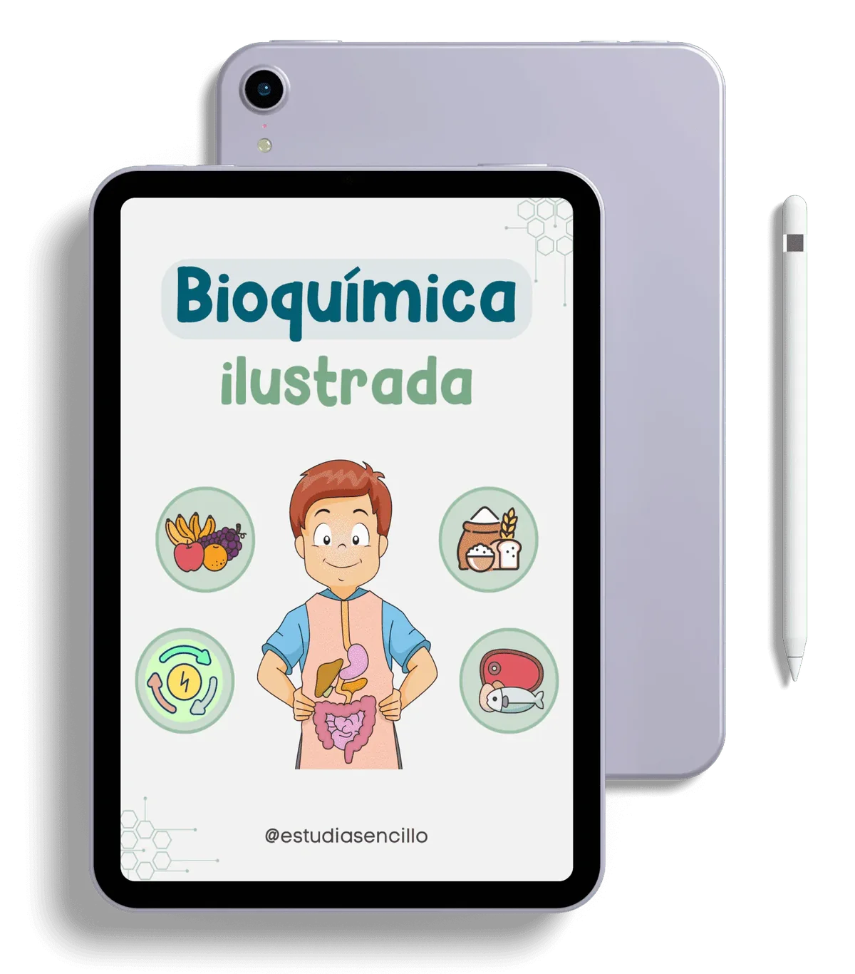 Tablet mostrando páginas del PDF de Bioquímica Ilustrada