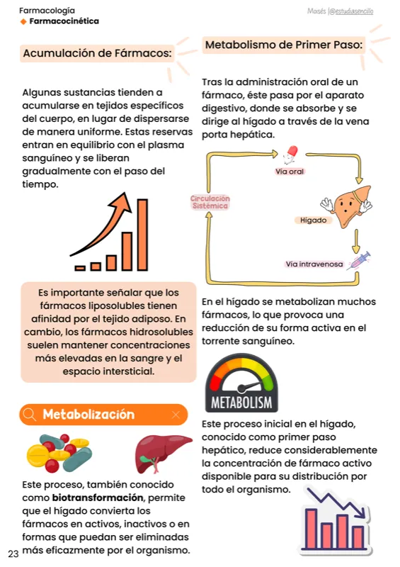 Página de muestra: contenido ilustrado de farmacología